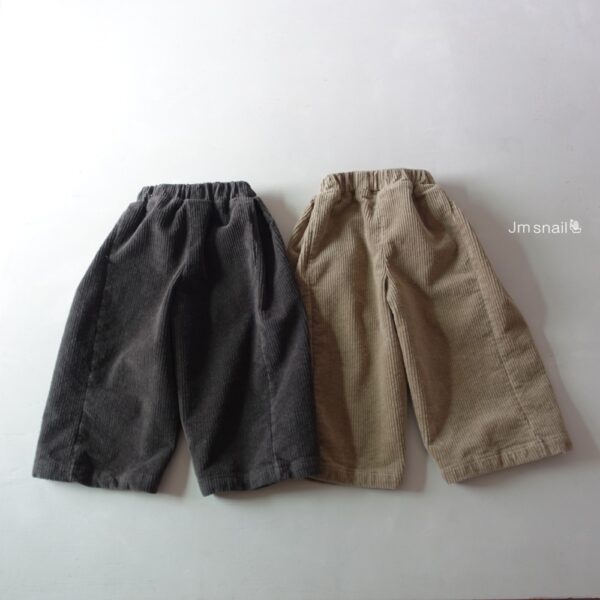 ImageDrain-20251224T023542.163Z 隨性燈芯寬褲