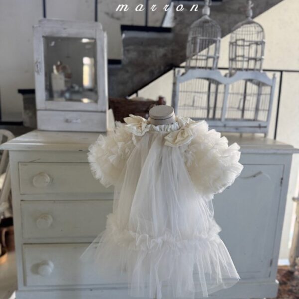 ImageDrain-20260119T053159.330Z 夢幻蕾絲小禮服