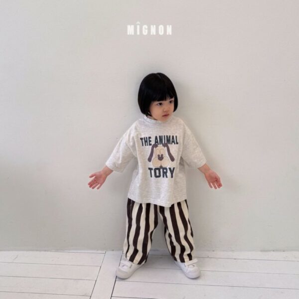 ImageDrain-20260303T062817.647Z 美式直條寬褲